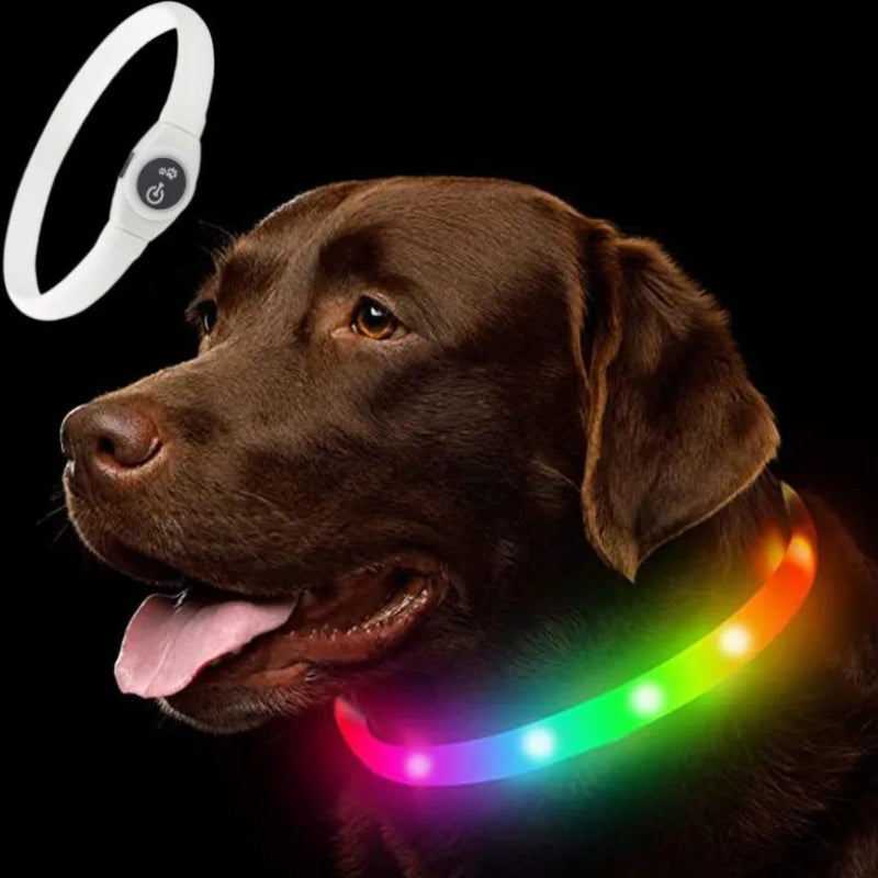 LED-Blink/Leuchthalsband