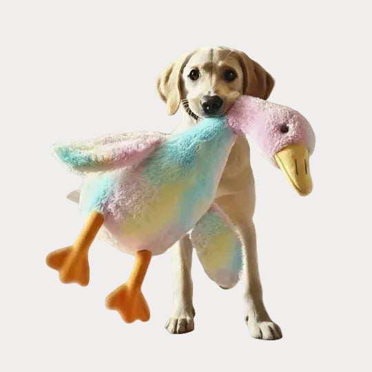 Ente Soft Fleece 50cm