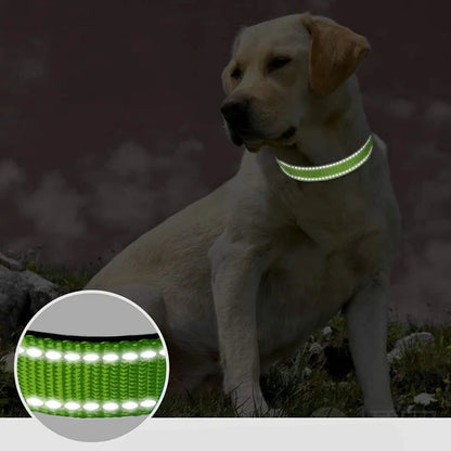 Reflektierendes Halsband