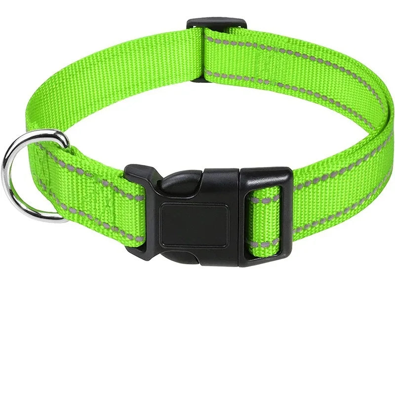 Reflektierendes Halsband
