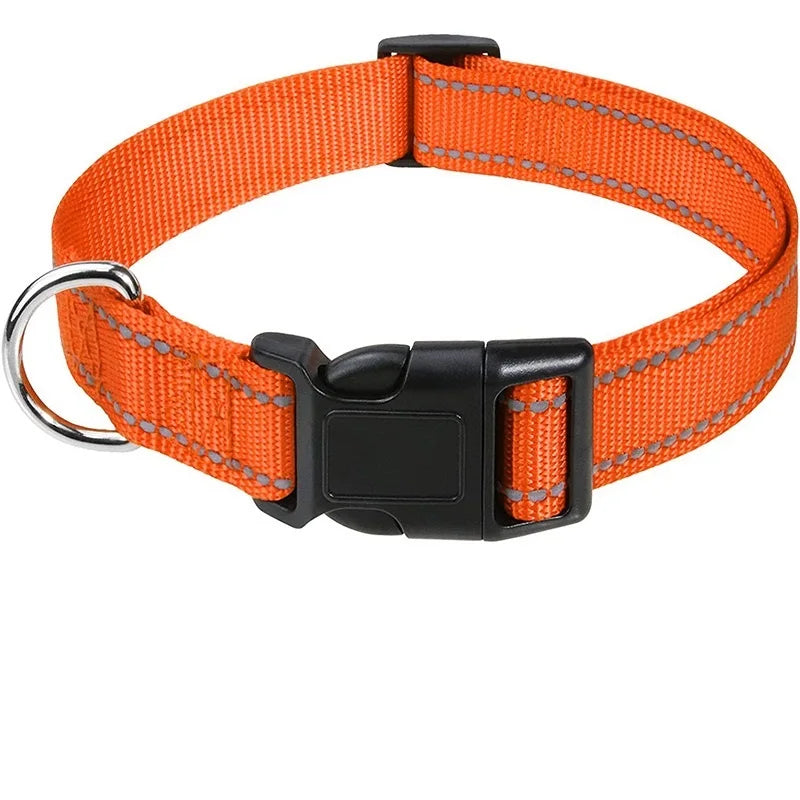 Reflektierendes Halsband