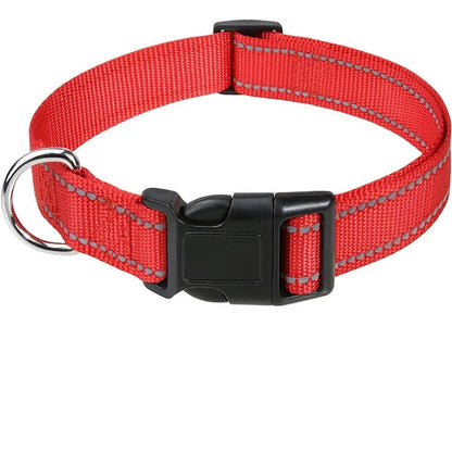 Reflektierendes Halsband