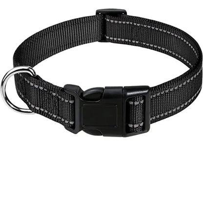 Reflektierendes Halsband