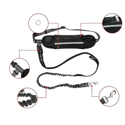 Hunde-Laufgurt mit Hüfttasche