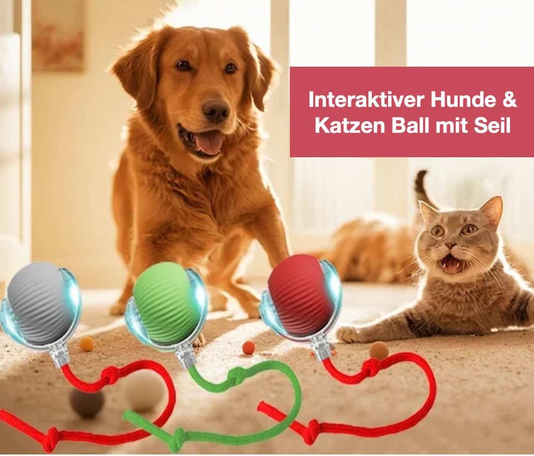 Interaktiver Ball mit Seil