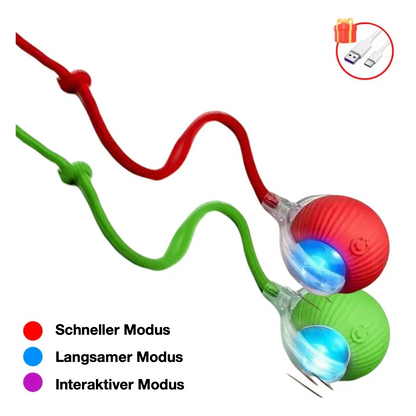 Interaktiver Ball mit Seil