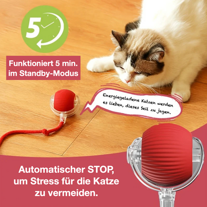 Interaktiver Ball mit Seil