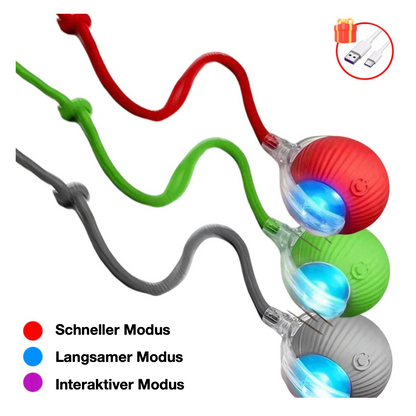 Interaktiver Ball mit Seil