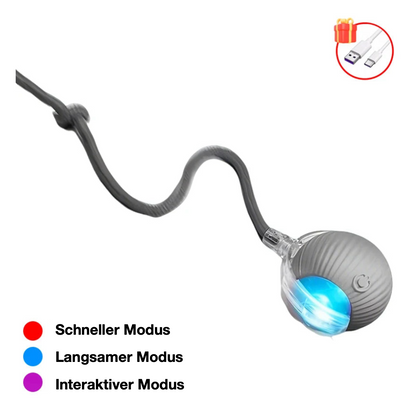 Interaktiver Ball mit Seil