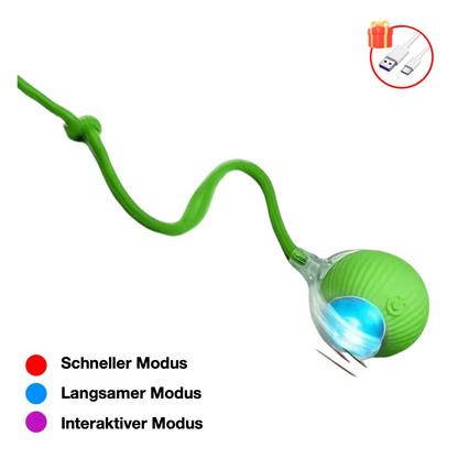 Interaktiver Ball mit Seil