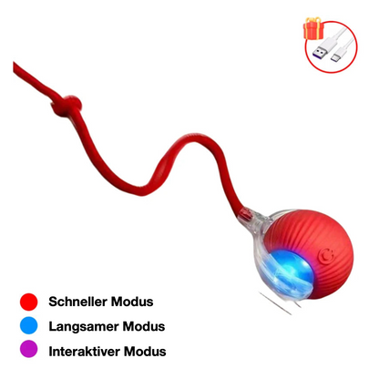 Interaktiver Ball mit Seil