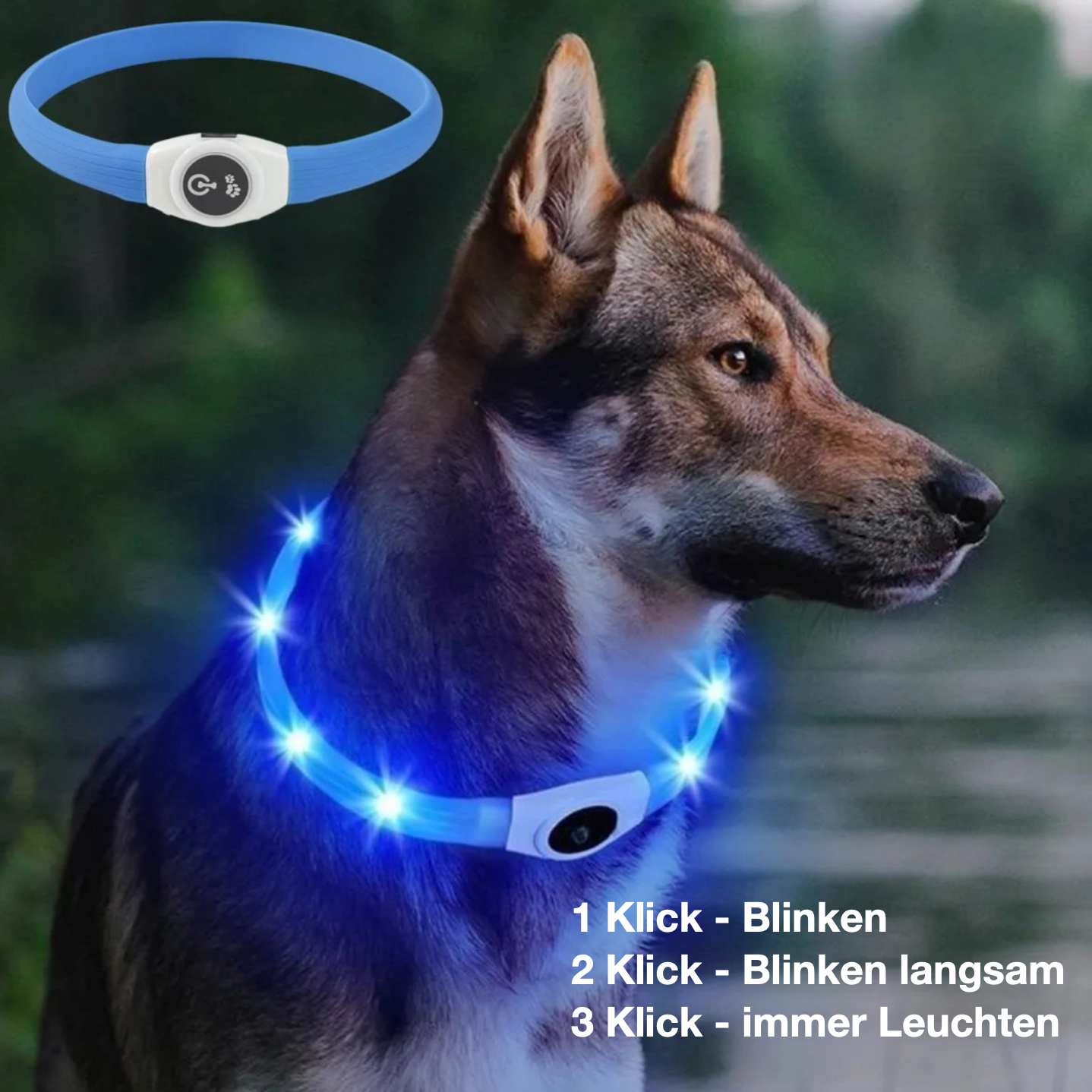 LED-Blink/Leuchthalsband