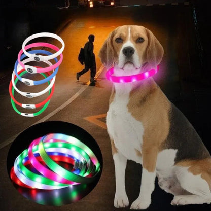 LED-Blink/Leuchthalsband