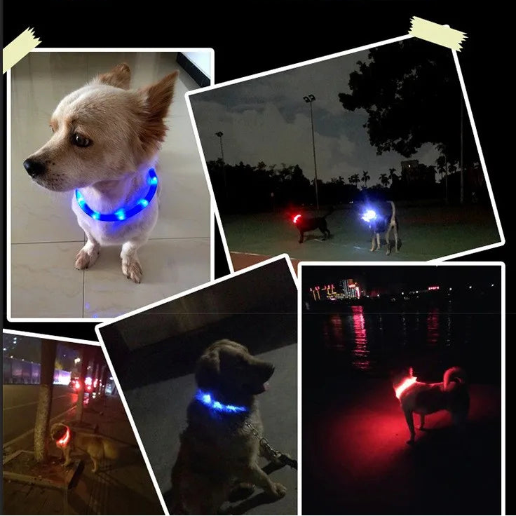 LED-Blink/Leuchthalsband