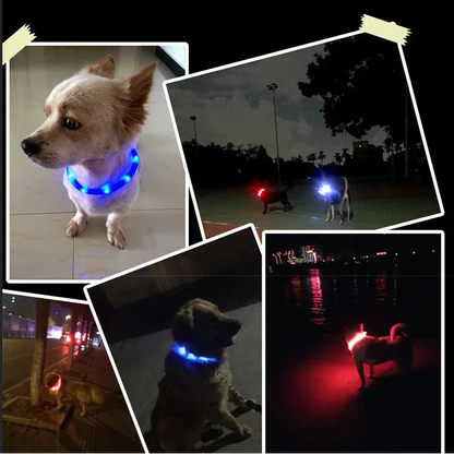 LED-Blink/Leuchthalsband