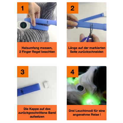 LED-Blink/Leuchthalsband