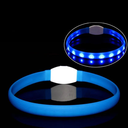 LED-Blink/Leuchthalsband