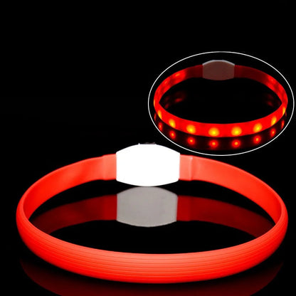 LED-Blink/Leuchthalsband