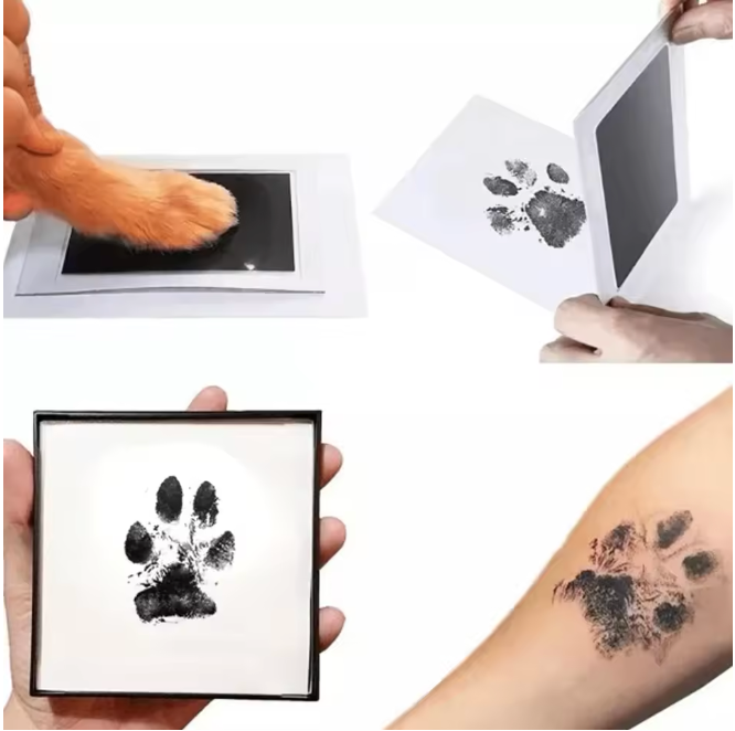 Pfoten-Stempelkissen 5 Farben