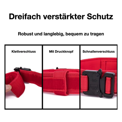 Trainingshalsband -und Leinen-Set