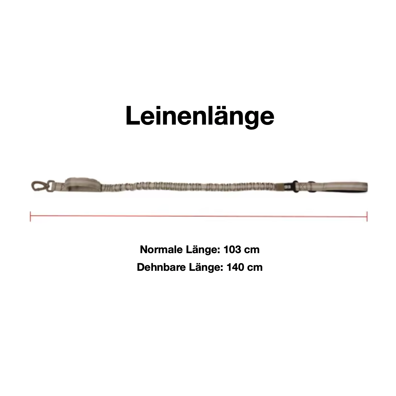 Trainingshalsband -und Leinen-Set