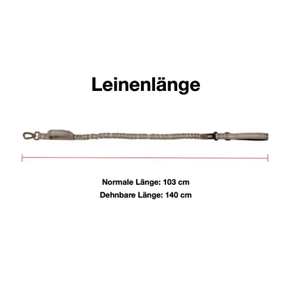 Trainingshalsband -und Leinen-Set