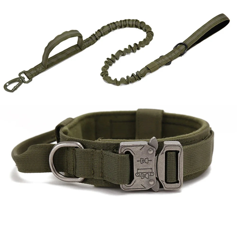 Trainingshalsband -und Leinen-Set
