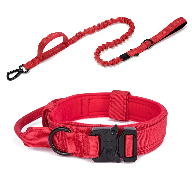 Trainingshalsband -und Leinen-Set
