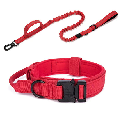 Trainingshalsband -und Leinen-Set