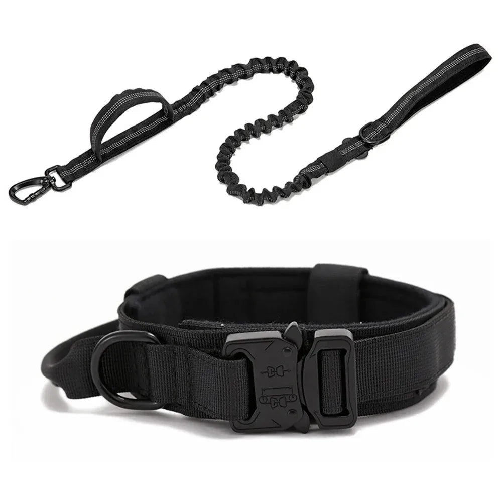 Trainingshalsband -und Leinen-Set