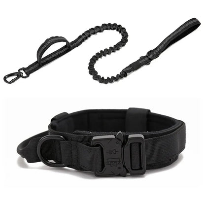 Trainingshalsband -und Leinen-Set