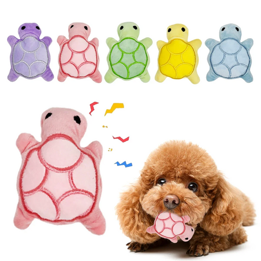 Mini Turtles