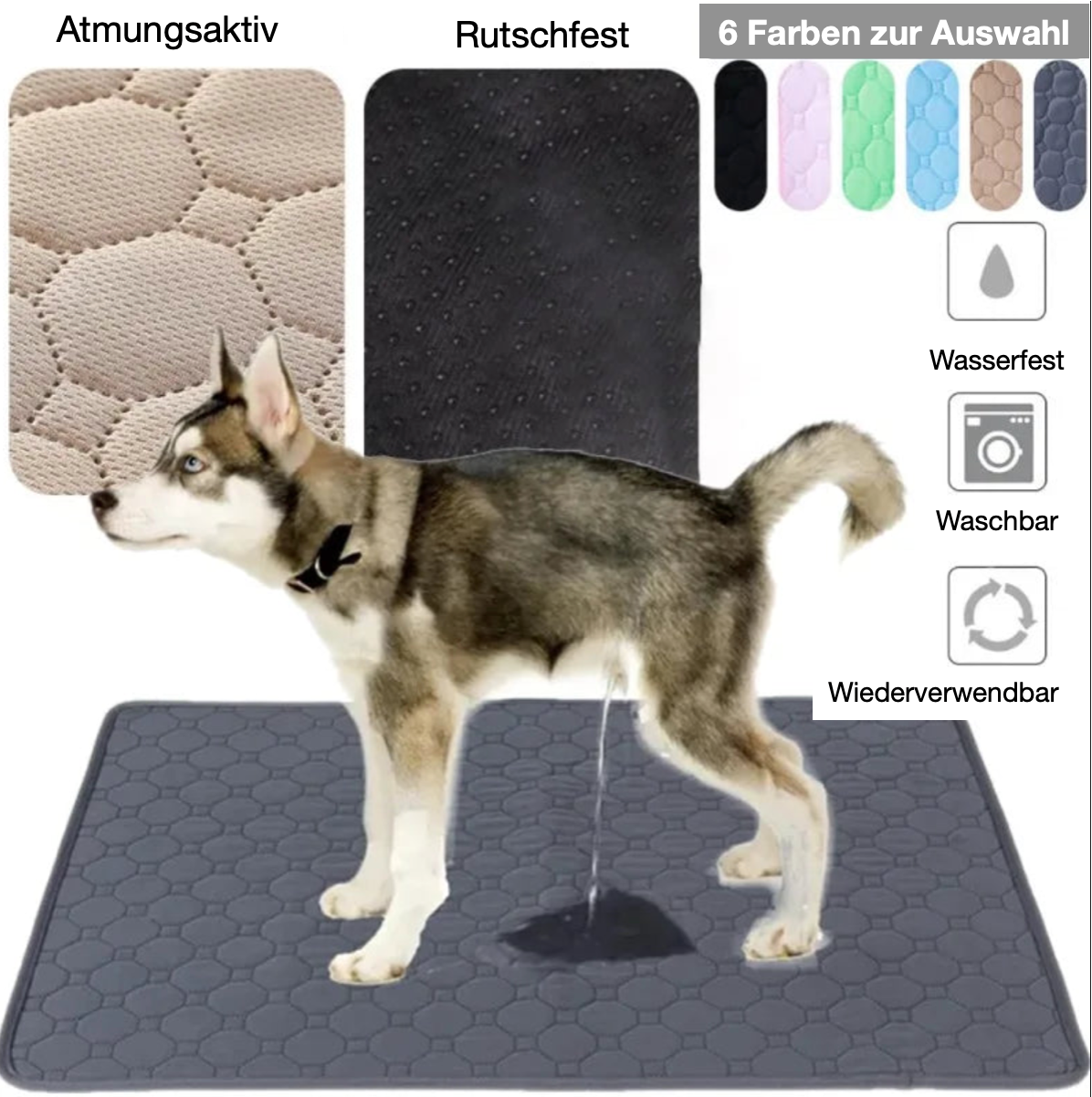 Waschbare Hygienematte S-XXL