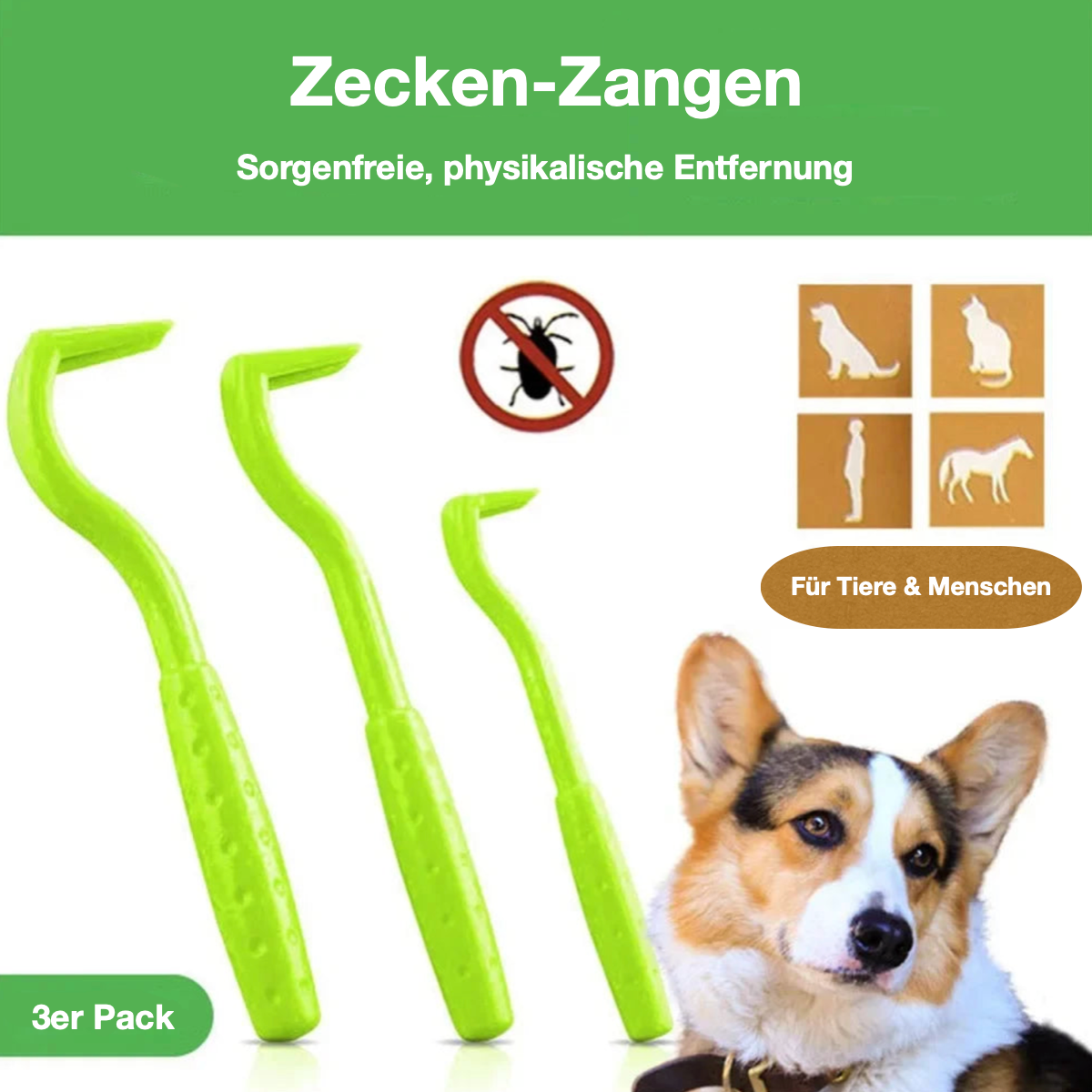 Zecken-Zangen